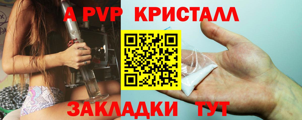 Альфа ПВП СК Ярославль
